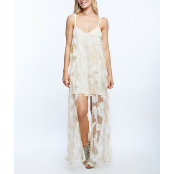 Line & Dot Dresses & Skirts - Line & Dot Silk Lace Overlay Maxi Dress